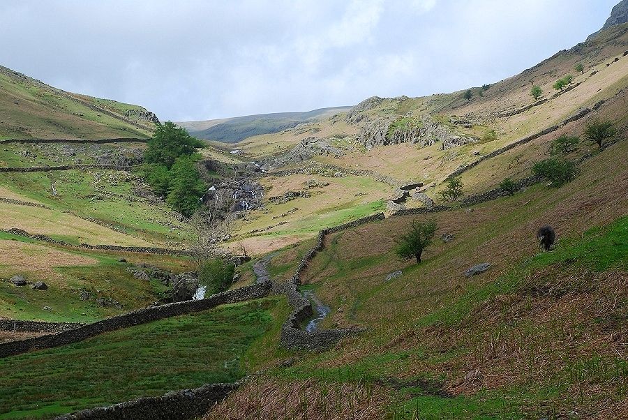 Greenburn Dale 