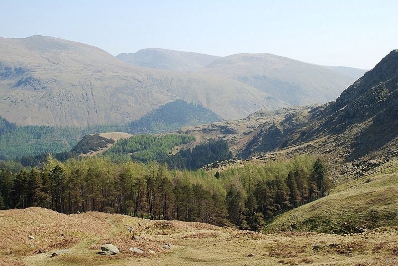 Looking back to the forest edge from the bridleway