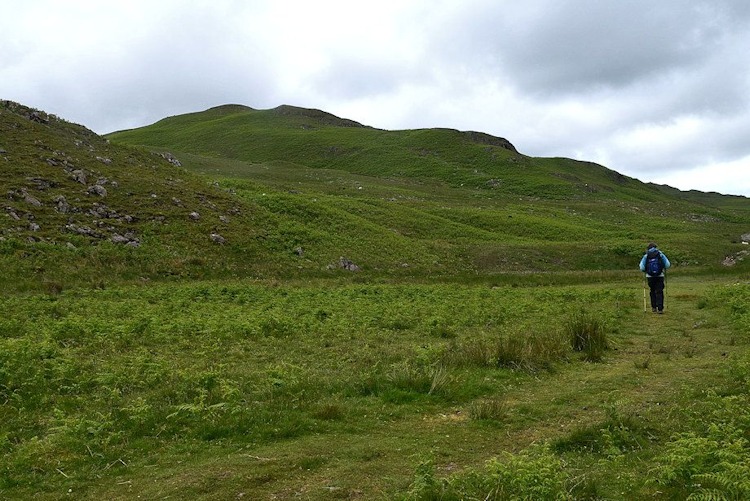 White Pike from The Wyke