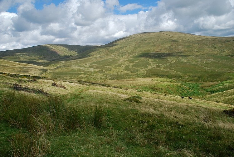 Lank Rigg from Bomery Gill
