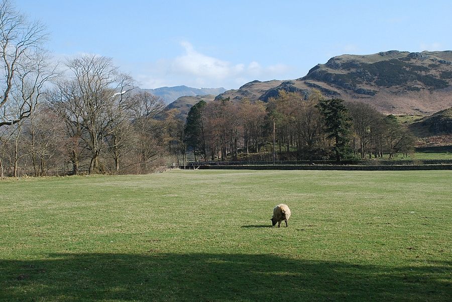 Blencathra and High Rigg from Shoulthwaite Farm